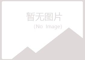 南山区冰夏音乐有限公司